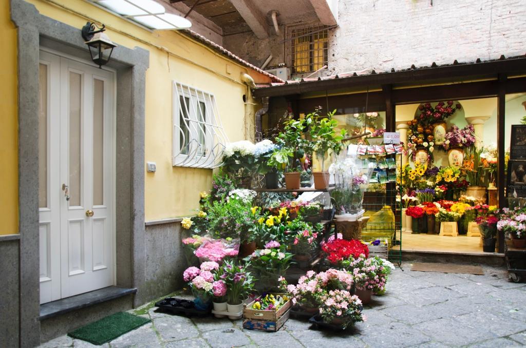 Casa Tonia San Cesareo Apartment Sorrento Room photo